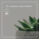 Acoustic Piano Club - Calming Ratio