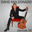 David Maldonado - Viaje de Alegria