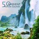 Nature Ambience - Breath of the Earth
