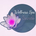 SPA Wellness Massage Masters - Healing Music for Deep Sleep