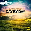 INSANE STONE - Day By Day Record Mix