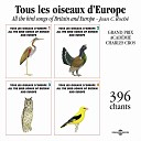 Птицы Европы - Голубь сизый