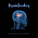 Brainsmoker - Guss