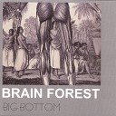 Brain Forest - Ischial Tuberosity