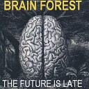 Brain Forest - Why O Why