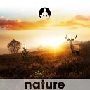 Nature s Harmony - First Light