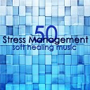 No Stress Ensemble - Ambient Music Stress Relievers