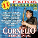 Cornelio Reyna - Ingrato Amor