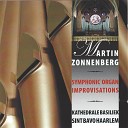 Martin Zonneberg - Op bergen en in dalen