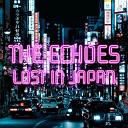 The Echoes Acappella - Lost In Japan Remix