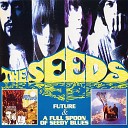 The Seeds - Satisfy You
