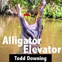 Todd Downing - Alligator Elevator