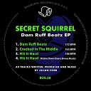 Secret Squirrel - Dam Ruff Beatz