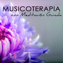 Musicoterapia - Nueva Era Aprender a Meditar
