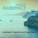 Natural Ambience Professor - Nature Power Crickets Sounds in the Night