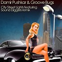 Damir Pushkar Groove Bugs - Last Night In My City Original Mix