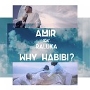 Amir feat Raluka - Why Habibi