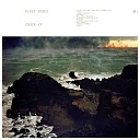 Fleet Foxes - On Another Ocean January June