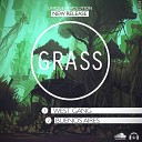 Grass - Buenos Aires Original Mix