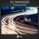 DJ maxSIZE - Evolution Original Mix