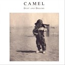 Camel - Milk n Honey