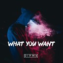 DIPMA - What You Want