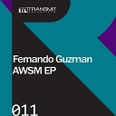 Fernando Guzman - Walking Original Mix