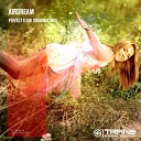 Airdream - Perfect Flow Original Mix