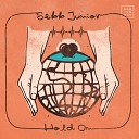 Sebb Junior - I LIke You Album Version