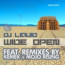 Dj Liquid - Wide Open Original Mix