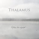 Thalamus - Vertigo