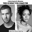 Calvin Harris ft Rihanna vs Denis Rublev… - This Is What You Came For Zak Fire Flame Mash…