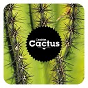 Capit n Cactus - Tormenta