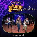 Juan Hern ndez y Su Banda de Blues feat… - Tac n Dorado