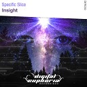 Specific Slice - Insight Original Mix