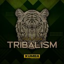 Leon Blaq - Tribalism Original Mix