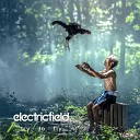 electricfield - Why
