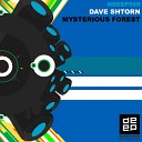 Dave Shtorn - Mysterious Forest Original Mix