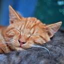 Music For Cats Peace Cat Music Therapy Music for Cats… - Stressless Ambience