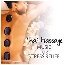 Wellness Spa Music Oasis - Natural Stress Relief