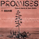 Calvin Harris - Promises