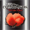 Cottonbros - Reason for Love