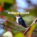 Nature Sounds Nature Music Forest Sounds - Waterfall Peaceful Background Ambience