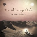 Human Rising - Endless Around Bonus Track