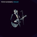 Peter Nordberg - Vingar Acoustic Version