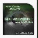 Want Disturb Defmann feat Cecilia Krull - You Are My Light Want Disturb Remix