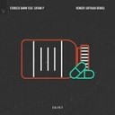Ferreck Dawn Feat Shyam P - Remedy OFFAIAH Extended Remix