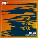 Aperio Koherent - Aurora