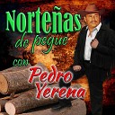 Pedro Yerena - Mis Ojos Me Denuncian