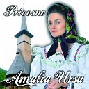 Amalia Ursu - Sub O Salcie Pletoasa